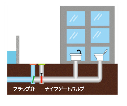 図版：二重逆流防止弁
