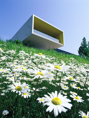 図版：スポーツベット アービトラージ岡本硝子 スポーツベット アービトラージ工場