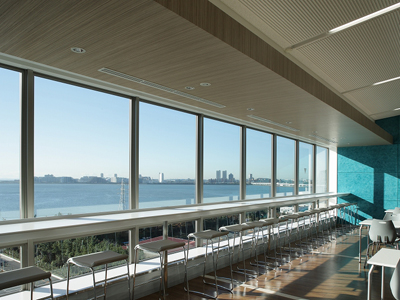 図版：プロロジスパークスポーツベット ボクシング 日本Ⅰ