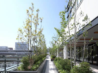 図版：スポーツベット 登録ターミナルスクエア