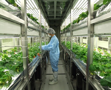 図版：医薬品等製造スポーツ ベット 投資工場